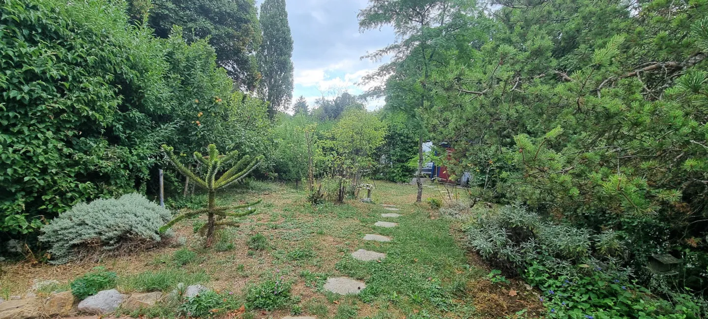 Saint-George – A house where you simply feel good - Photo 4 of 15