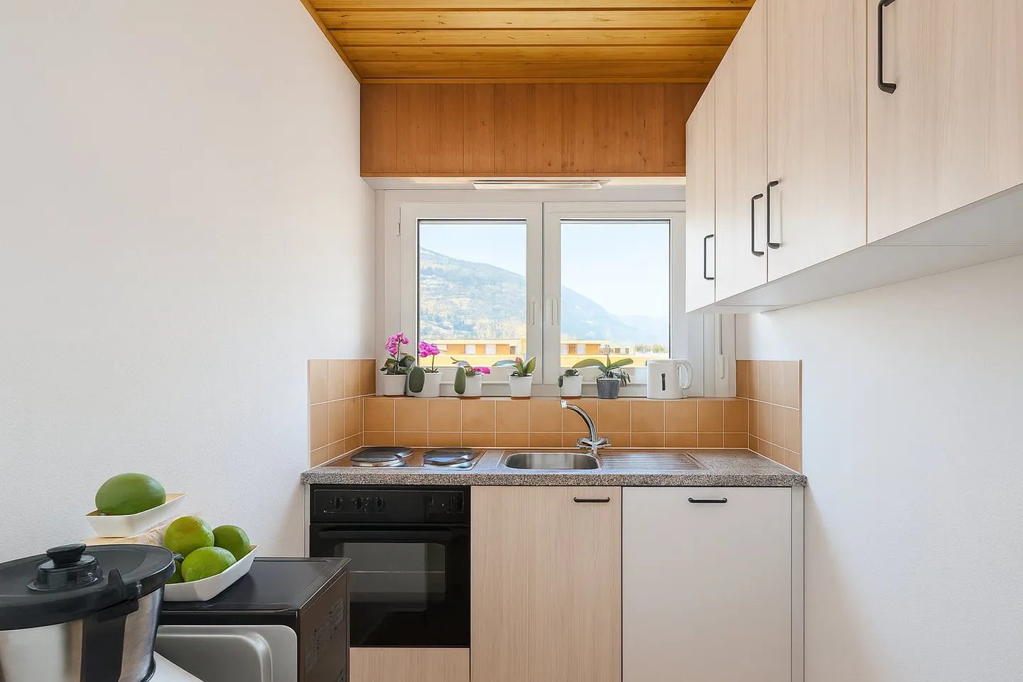 Appartement 2.5 pièces ensoleillé avec magnifique vue panoramique - Photo 5 sur 6