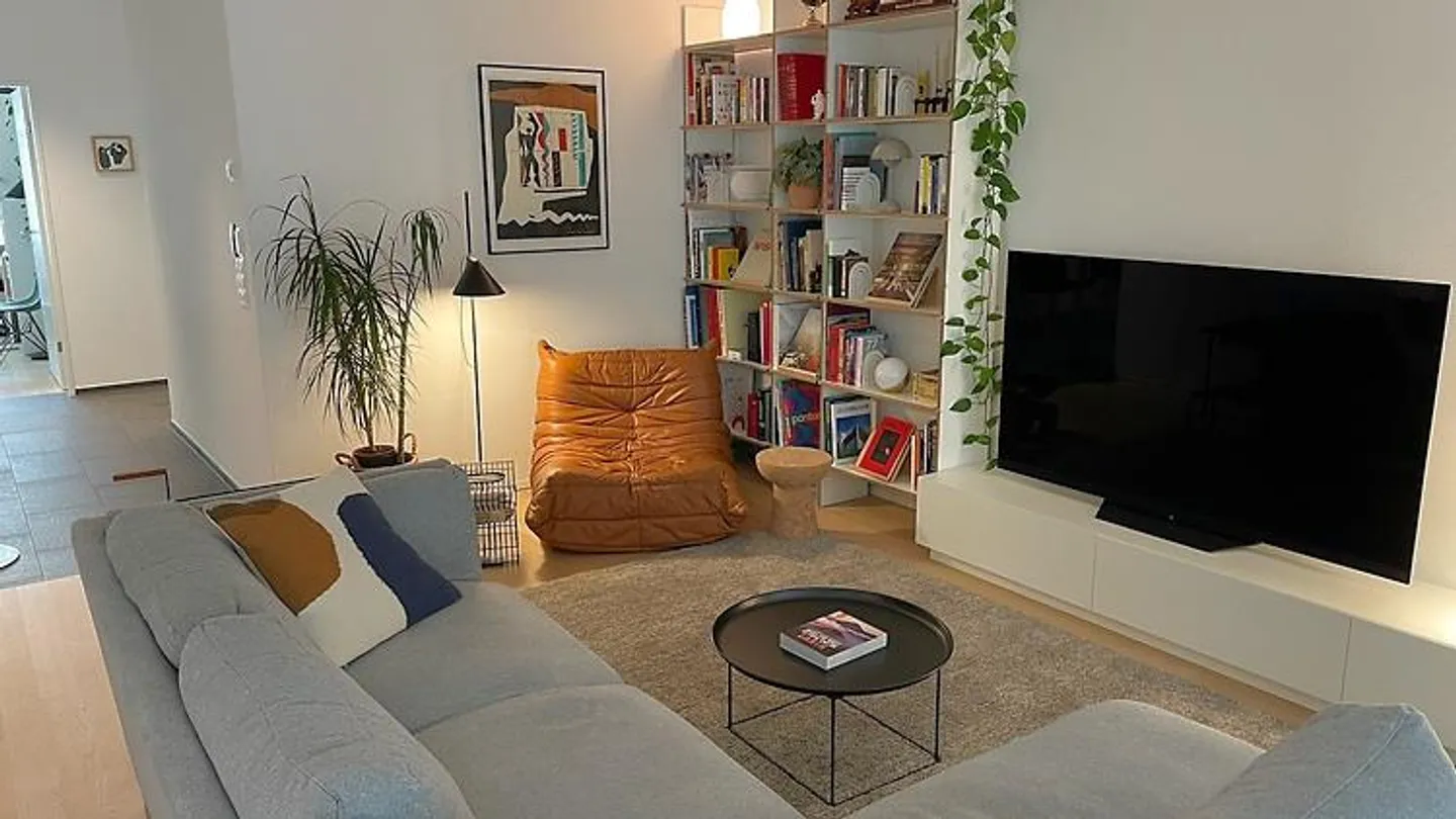 4½ ROOM APARTMENT IN BASEL - BACHLETTEN/GOTTHELF, FURNISHED, TEMPORARY - Photo 1 of 10