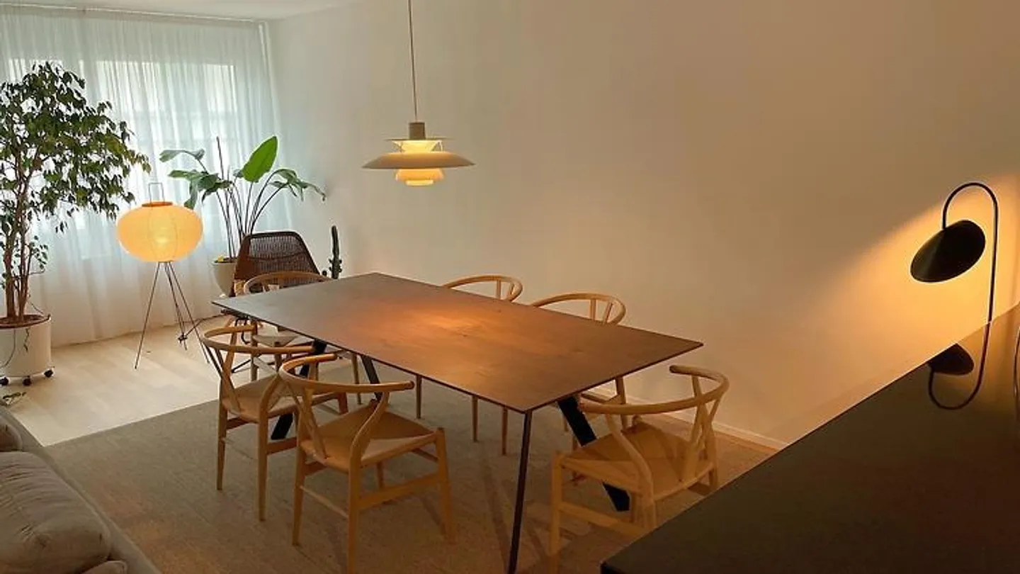 4½ ROOM APARTMENT IN BASEL - BACHLETTEN/GOTTHELF, FURNISHED, TEMPORARY - Photo 3 of 10