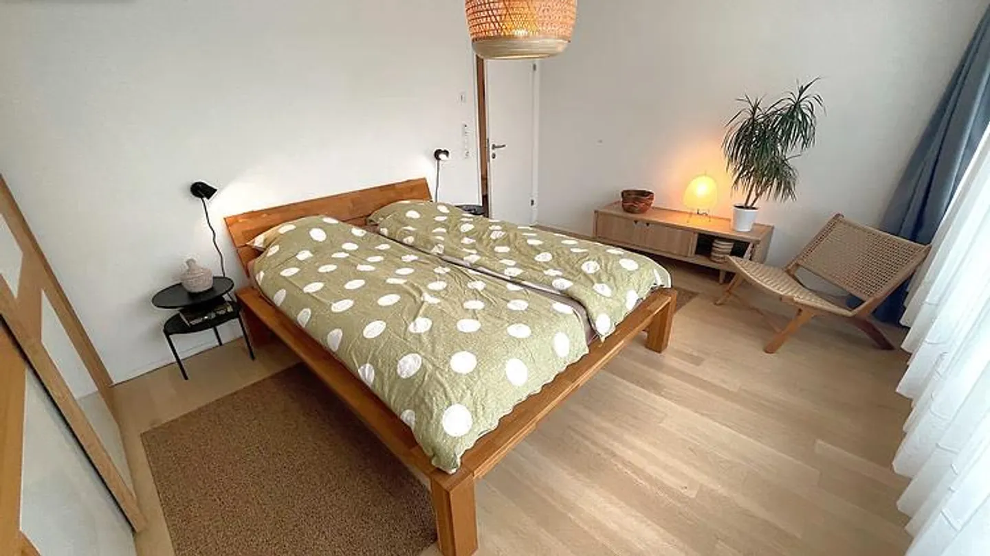 4½ ROOM APARTMENT IN BASEL - BACHLETTEN/GOTTHELF, FURNISHED, TEMPORARY - Photo 4 of 10