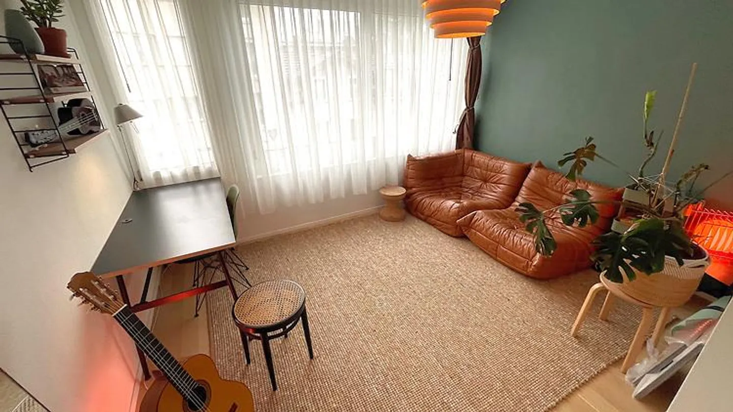4½ ROOM APARTMENT IN BASEL - BACHLETTEN/GOTTHELF, FURNISHED, TEMPORARY - Photo 5 of 10