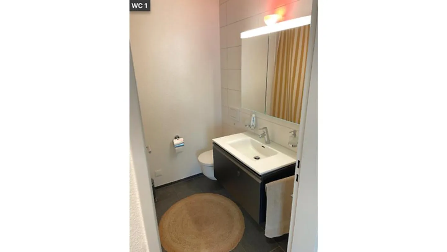 4½ ROOM APARTMENT IN BASEL - BACHLETTEN/GOTTHELF, FURNISHED, TEMPORARY - Photo 8 of 10