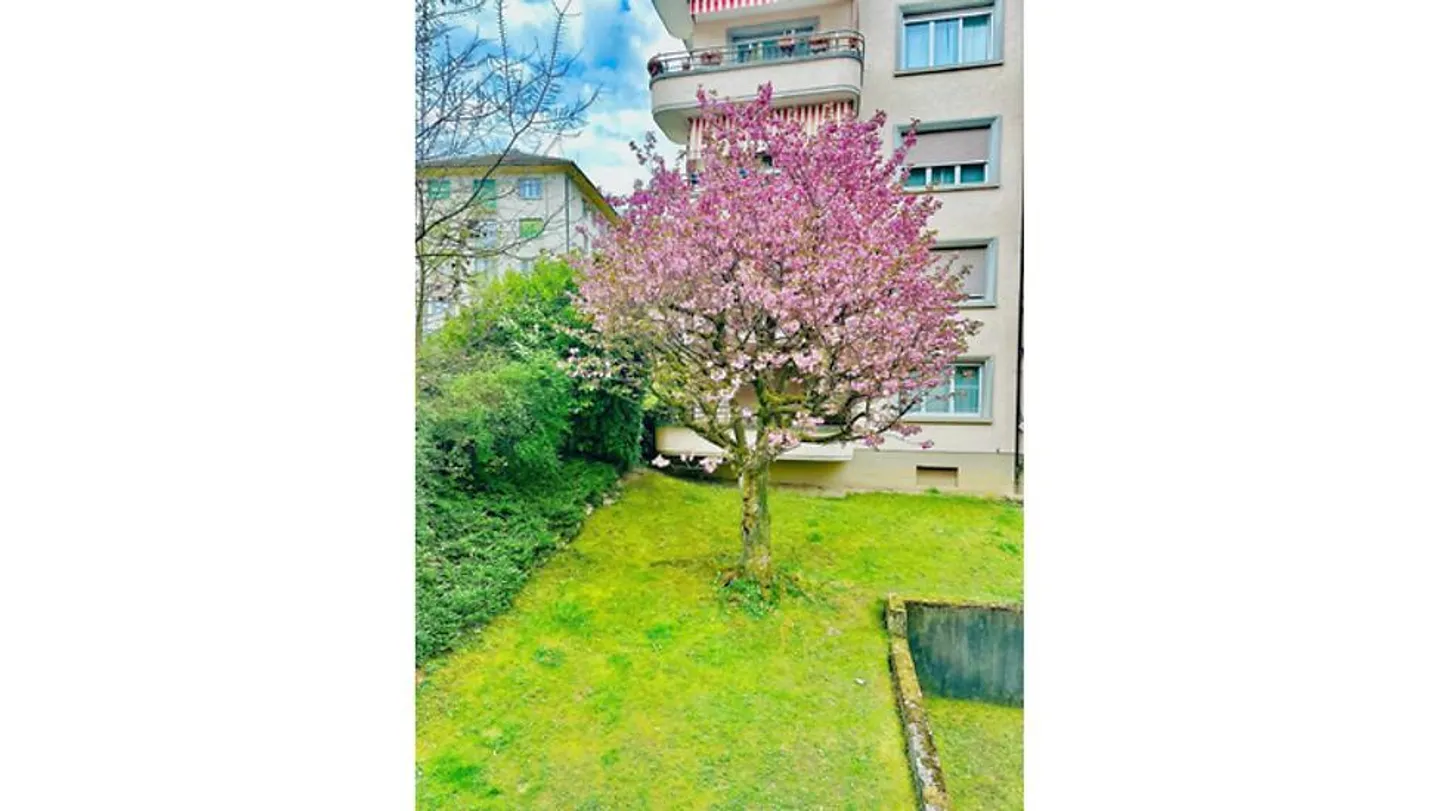 Appartement Meublé à Lausanne - Photo 10 sur 10