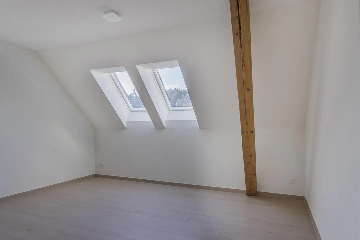 Spacious 4.5-room apartment (including carport & parking space) - Photo 14 of 14