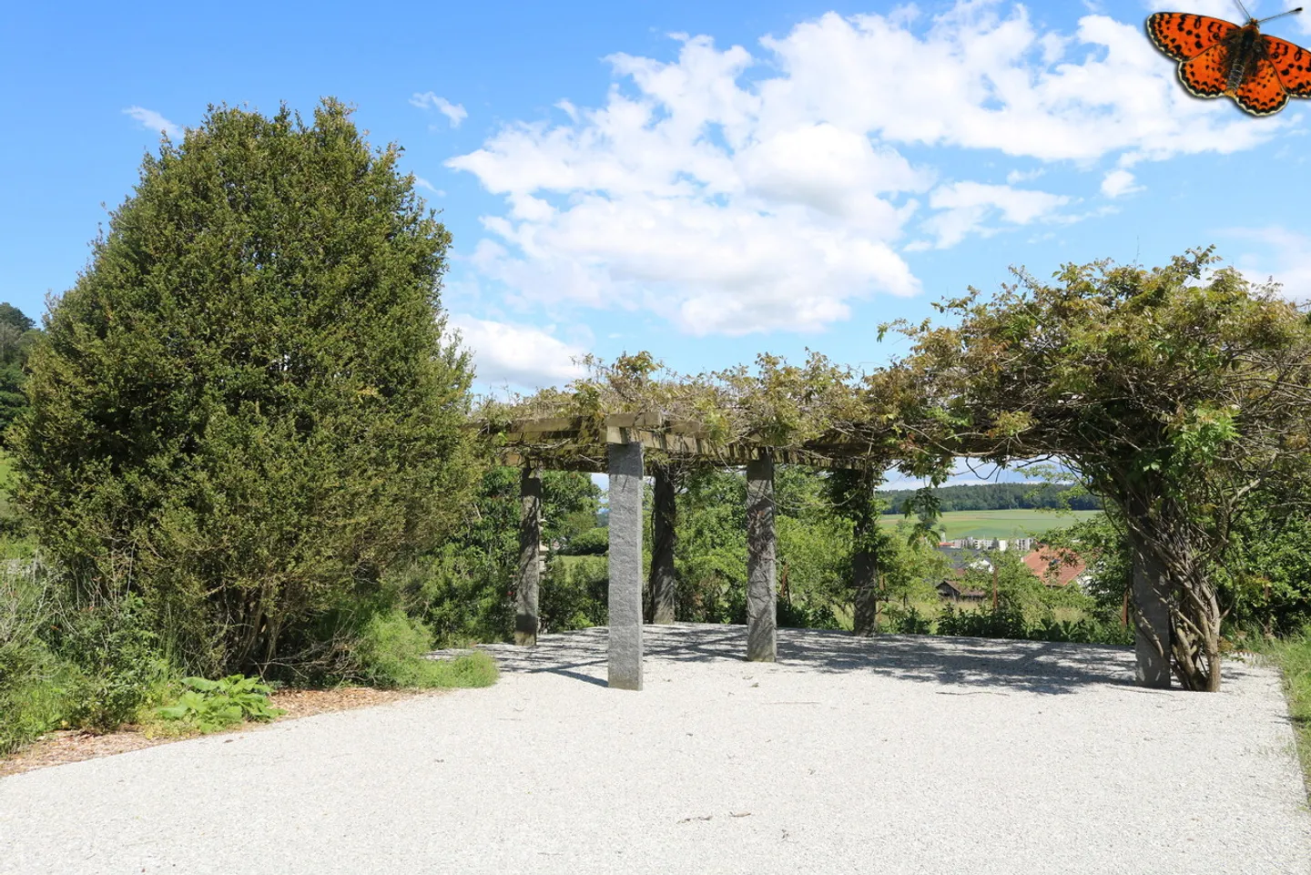 2-Zimmer-Wohnung - Foto 8 von 13