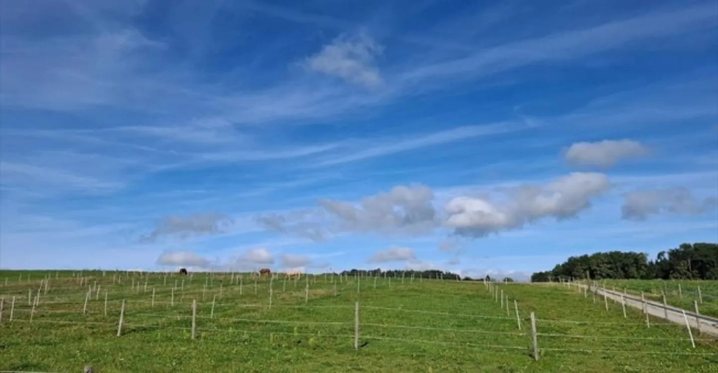 Office - Photo 2 of 5