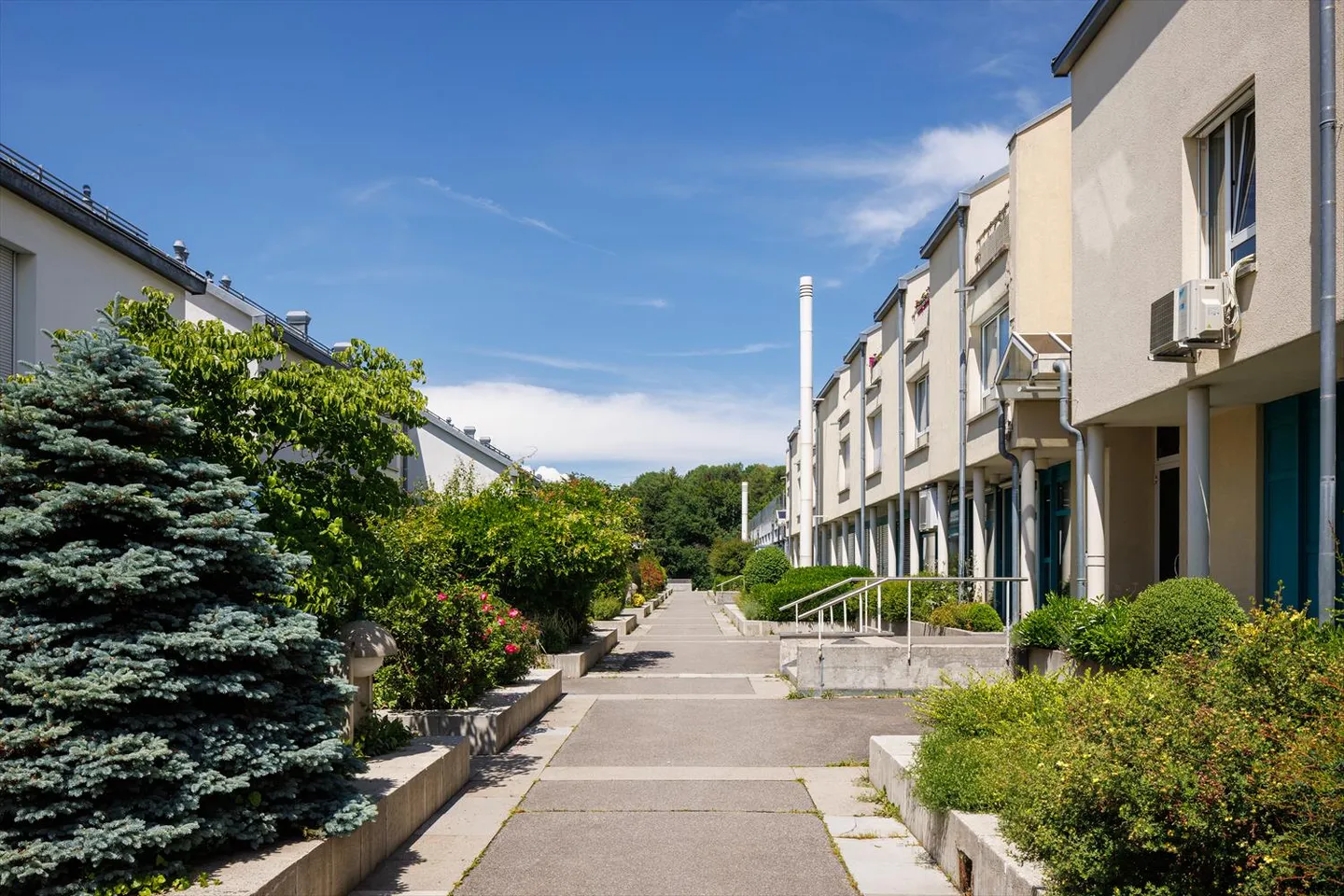 Duplex 2.5 rooms - Photo 6 of 6