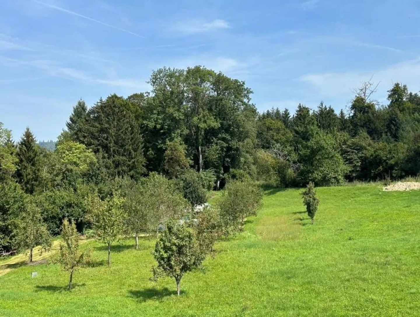 A home for people who are looking for more than just four walls - Photo 14 of 17