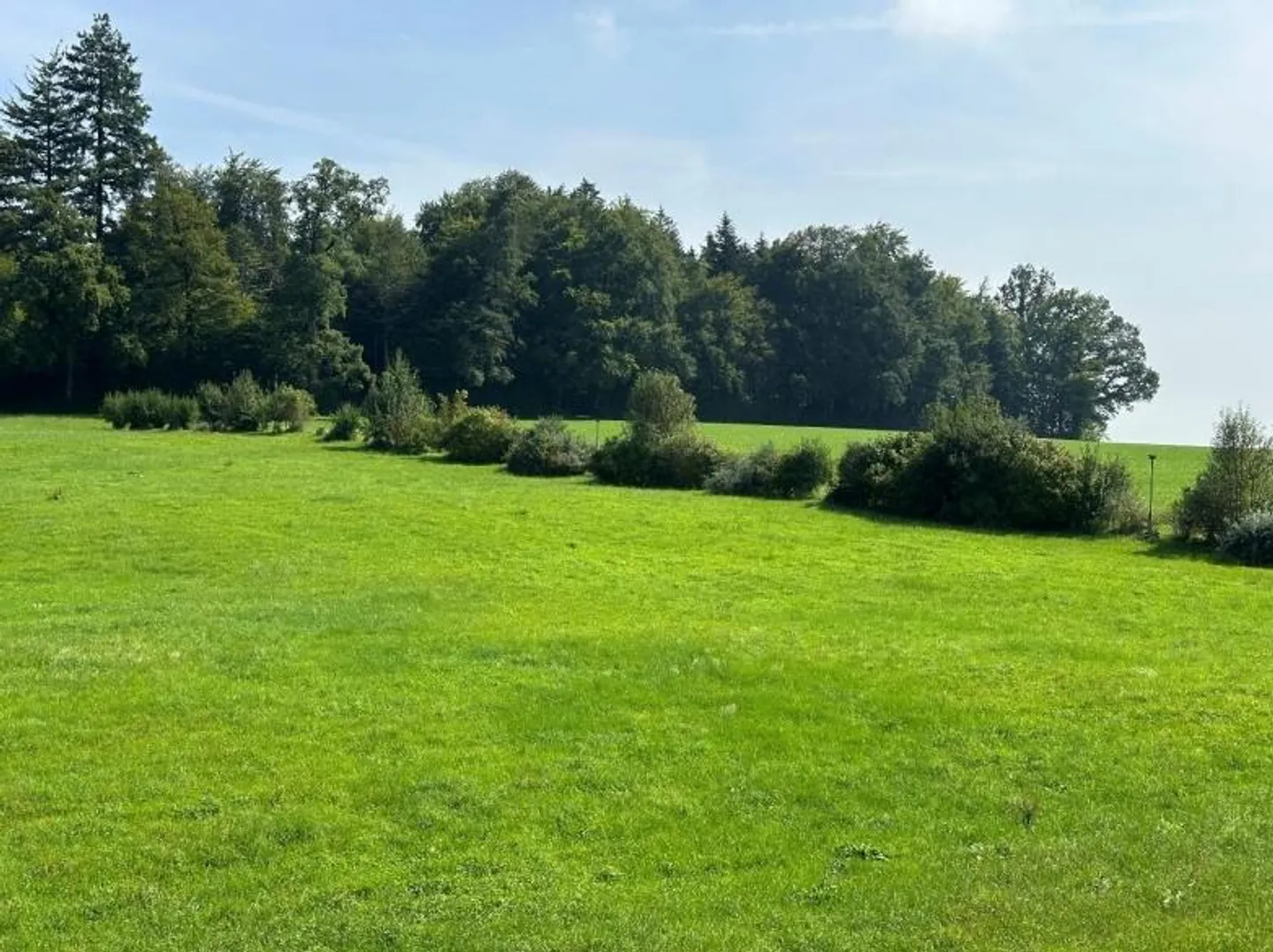 A home for people who are looking for more than just four walls - Photo 15 of 17