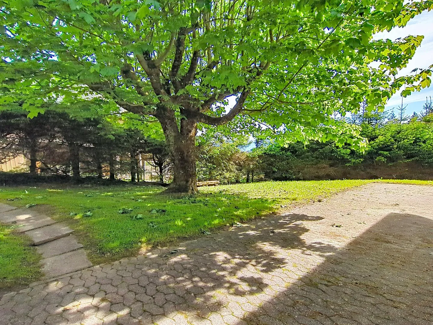 Grande chalet nel cuore della natura e vicino a Vevey e Montreux - Foto 17 di 17