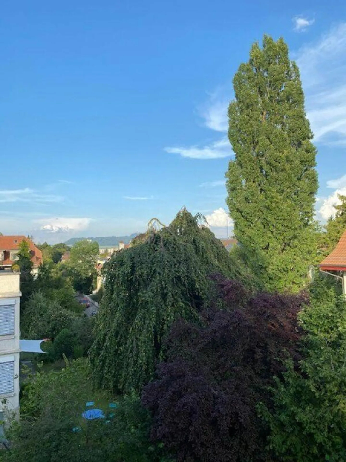 Appartement sous les combles de 2 1/2 pièces avec belle vue - Photo 15 sur 15