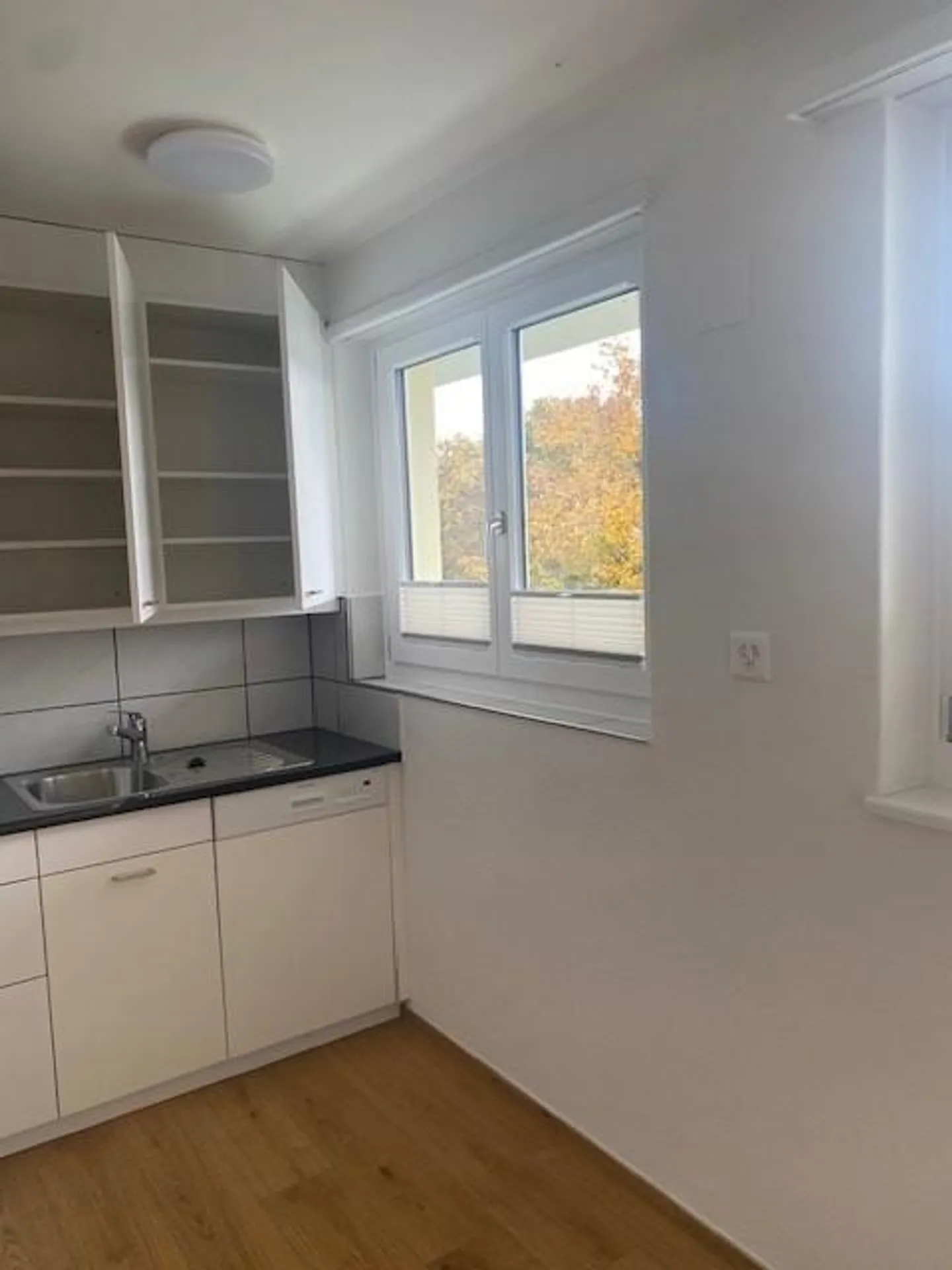 Appartamento ristrutturato di 2,5 locali al piano rialzato con balcone - Foto 3 di 9