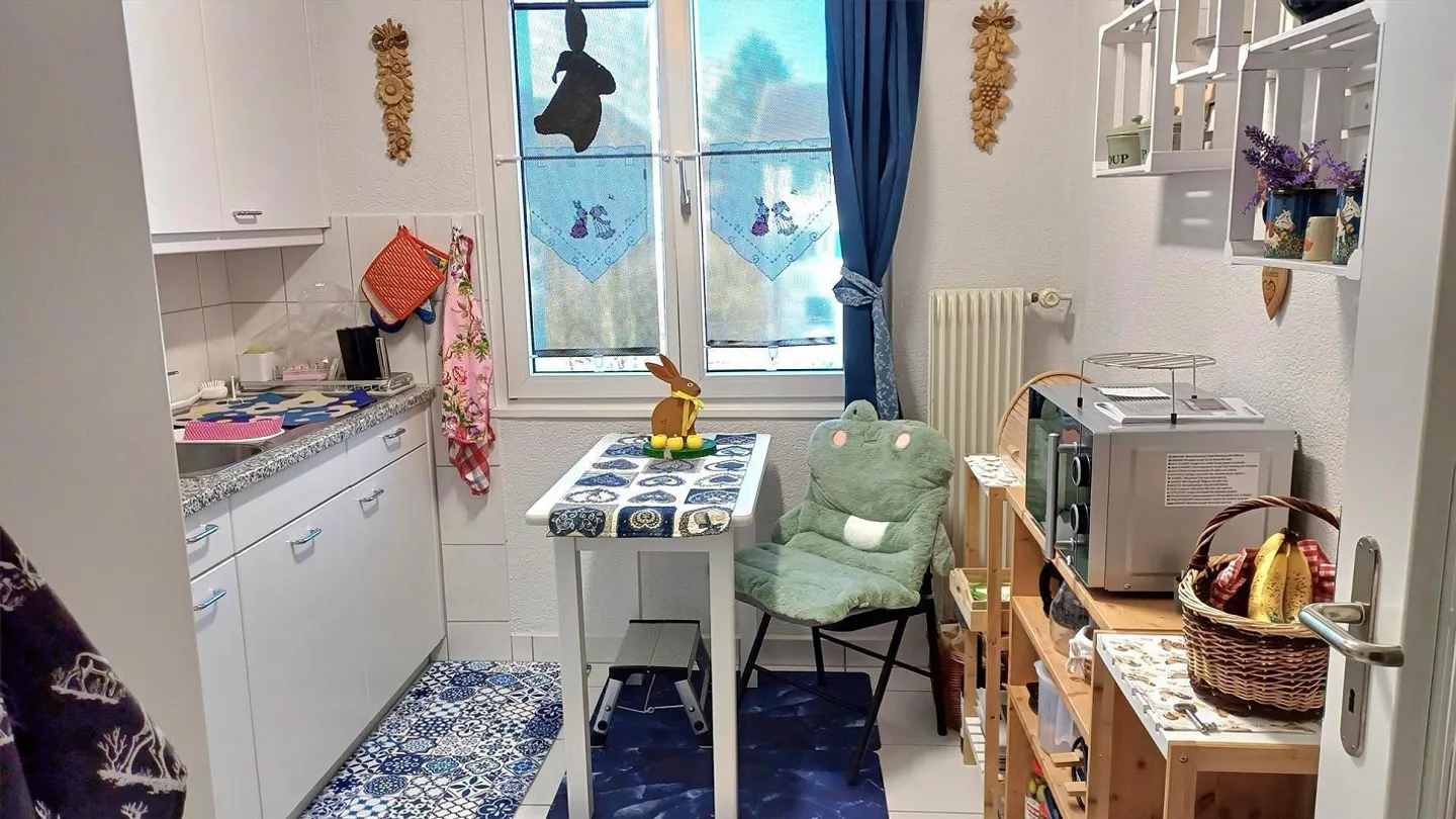 Recherche d'un nouveau locataire pour un appartement lumineux de 2 pièces à Uster - Photo 7 sur 11