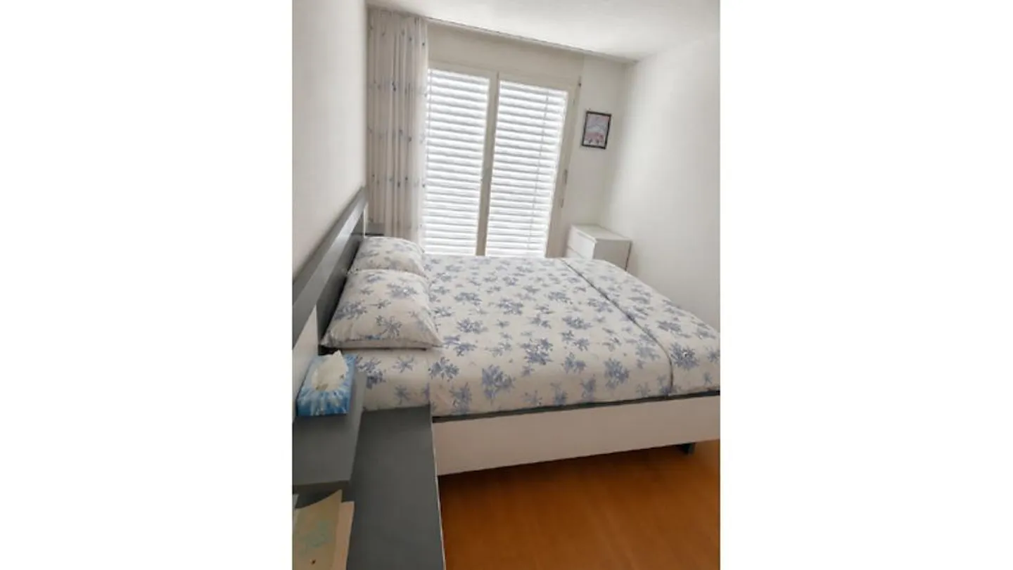 4½ ROOM APARTMENT IN REINACH (BL), FURNISHED, TEMPORARY - Photo 6 of 10