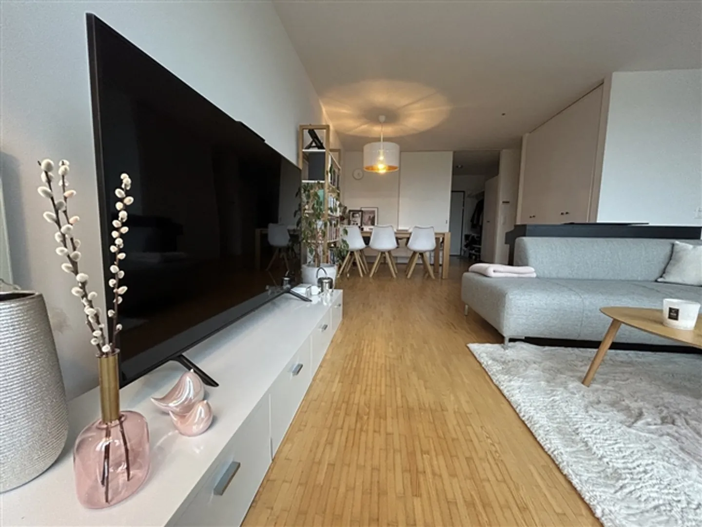 Appartamento 1½ locali a Winterthur - Città, arredato, temporaneo - Foto 1 di 10