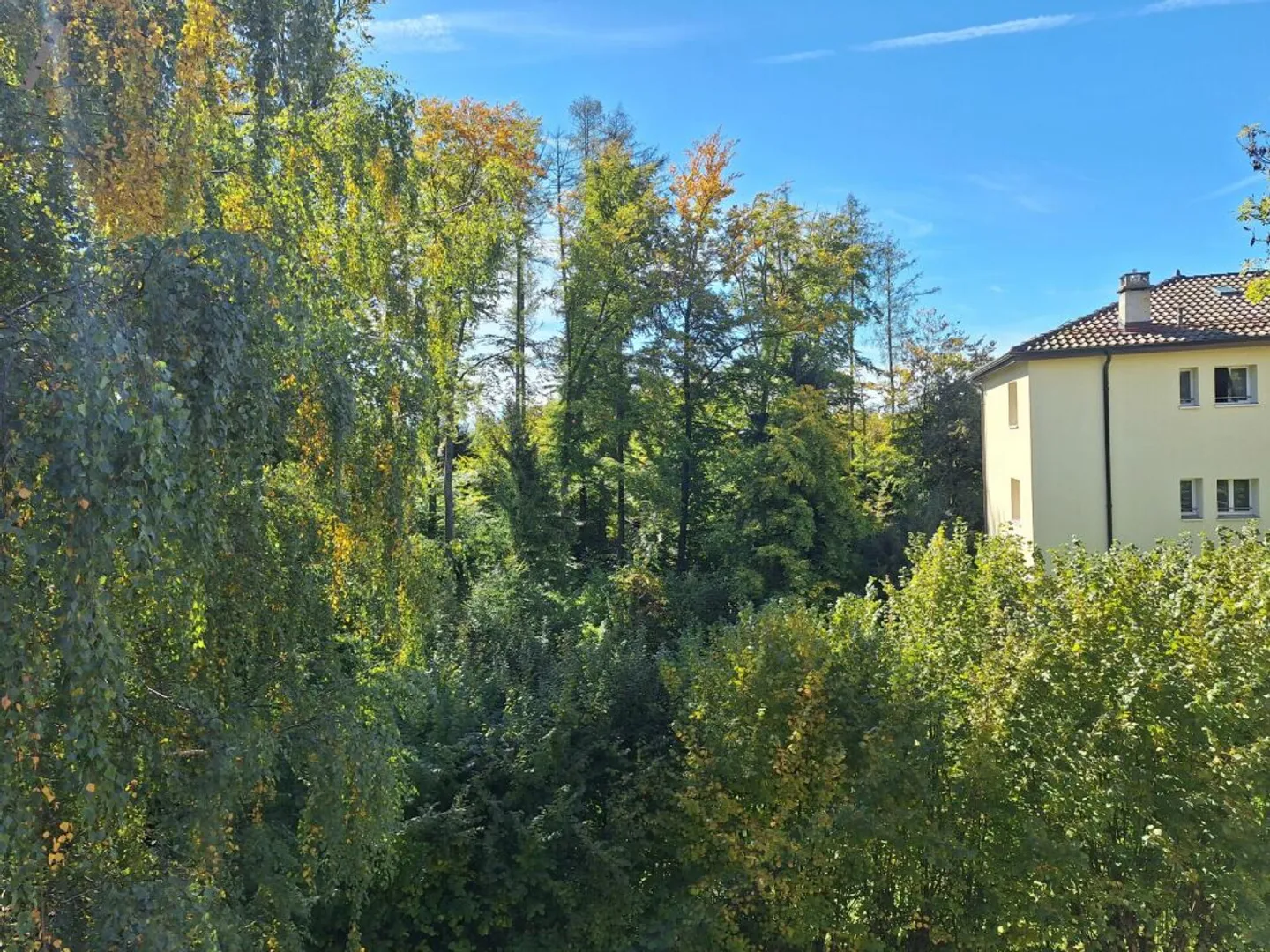 For rent: Commercial space in Boveresses 42 - Photo 6 of 8