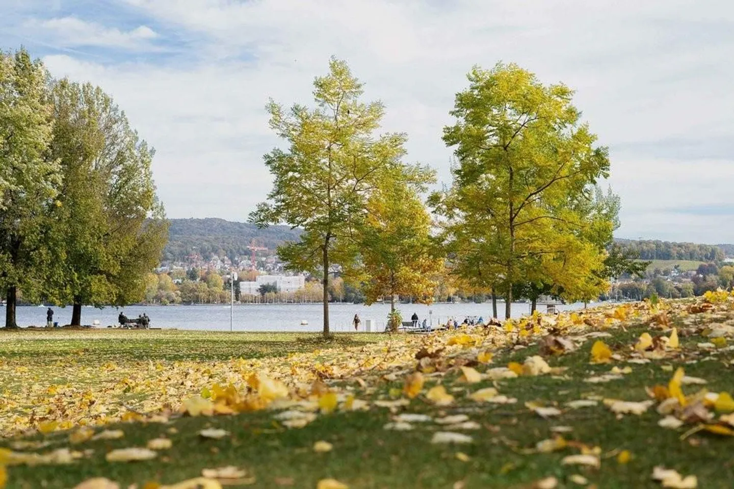 Stilvolle Neubauwohnung in Zürich - Foto 5 von 5