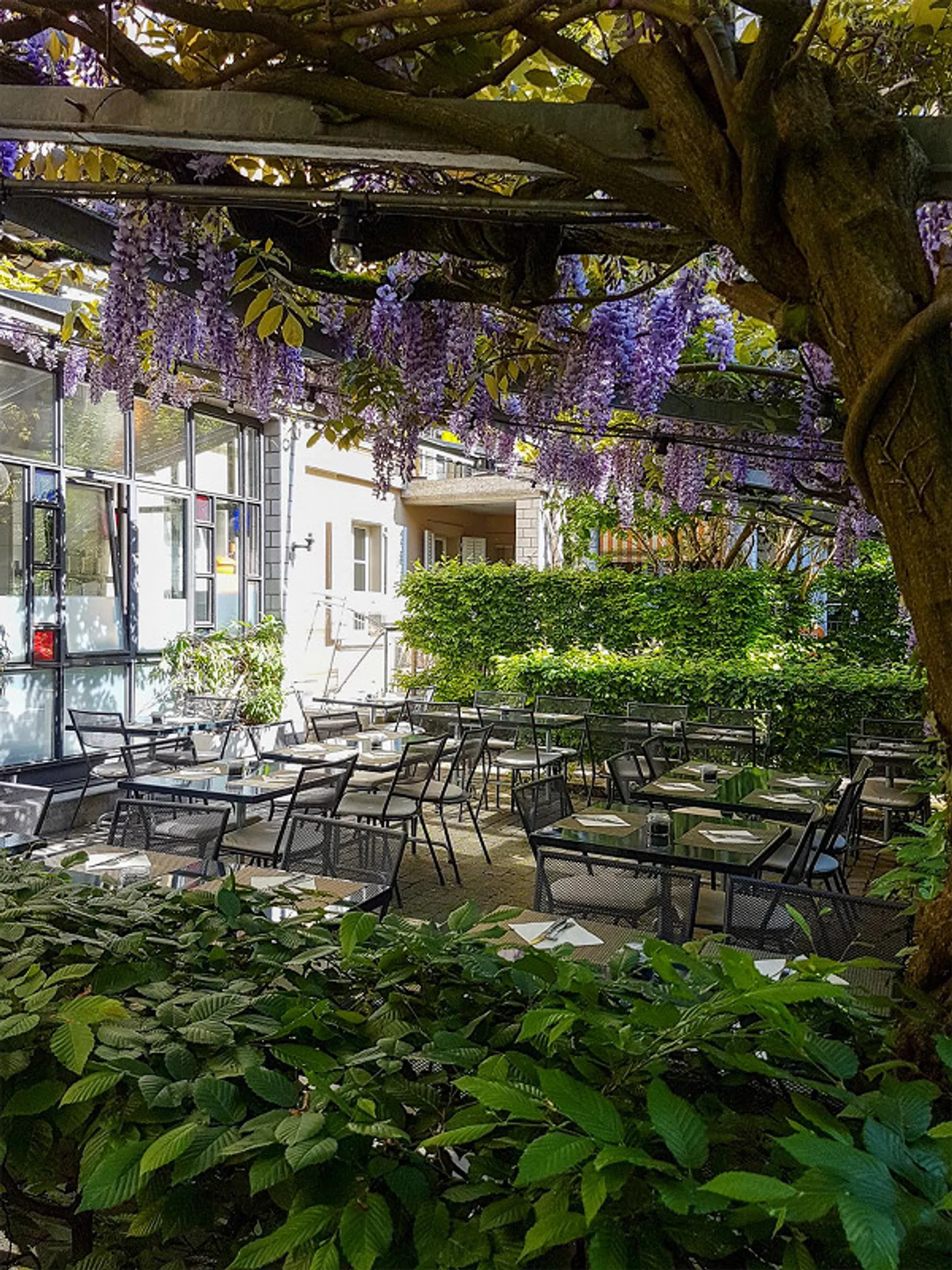 Charming restaurant with outdoor terrace on Belpstrasse - Photo 21 of 30