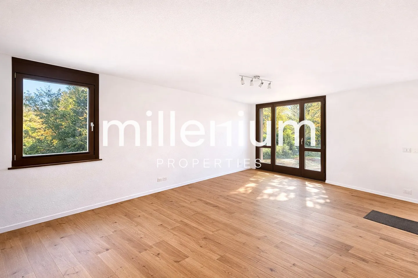 Grande casa arredata con piscina a Versoix - Foto 3 di 8