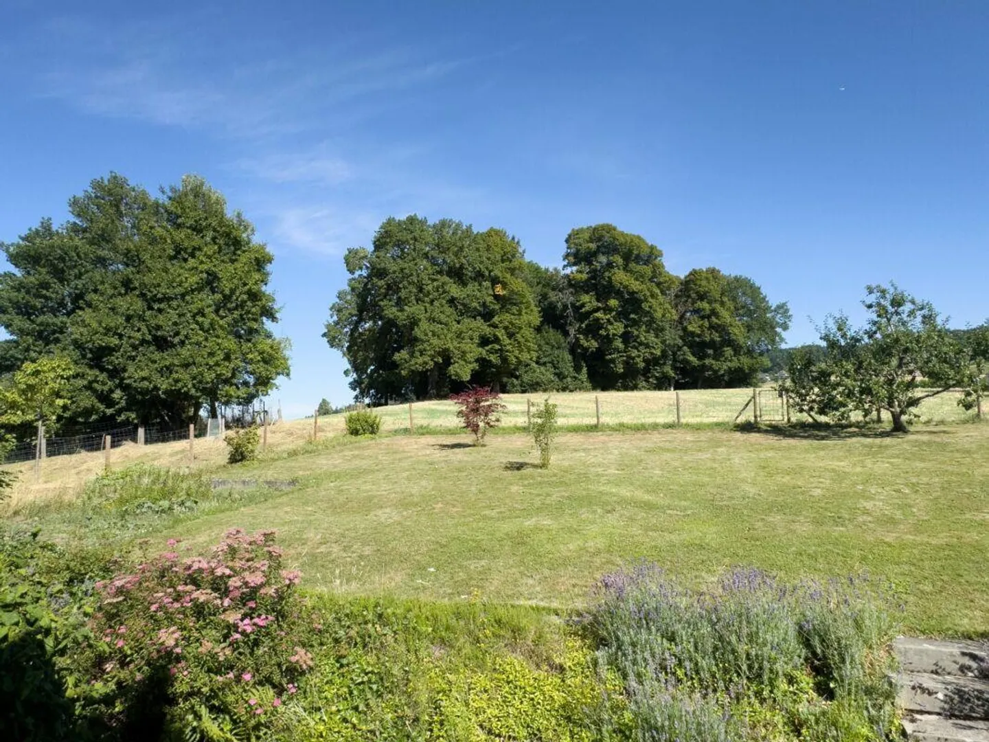 Spacious 6.5-room single-family house with beautiful garden in a privileged location - Photo 24 of 28