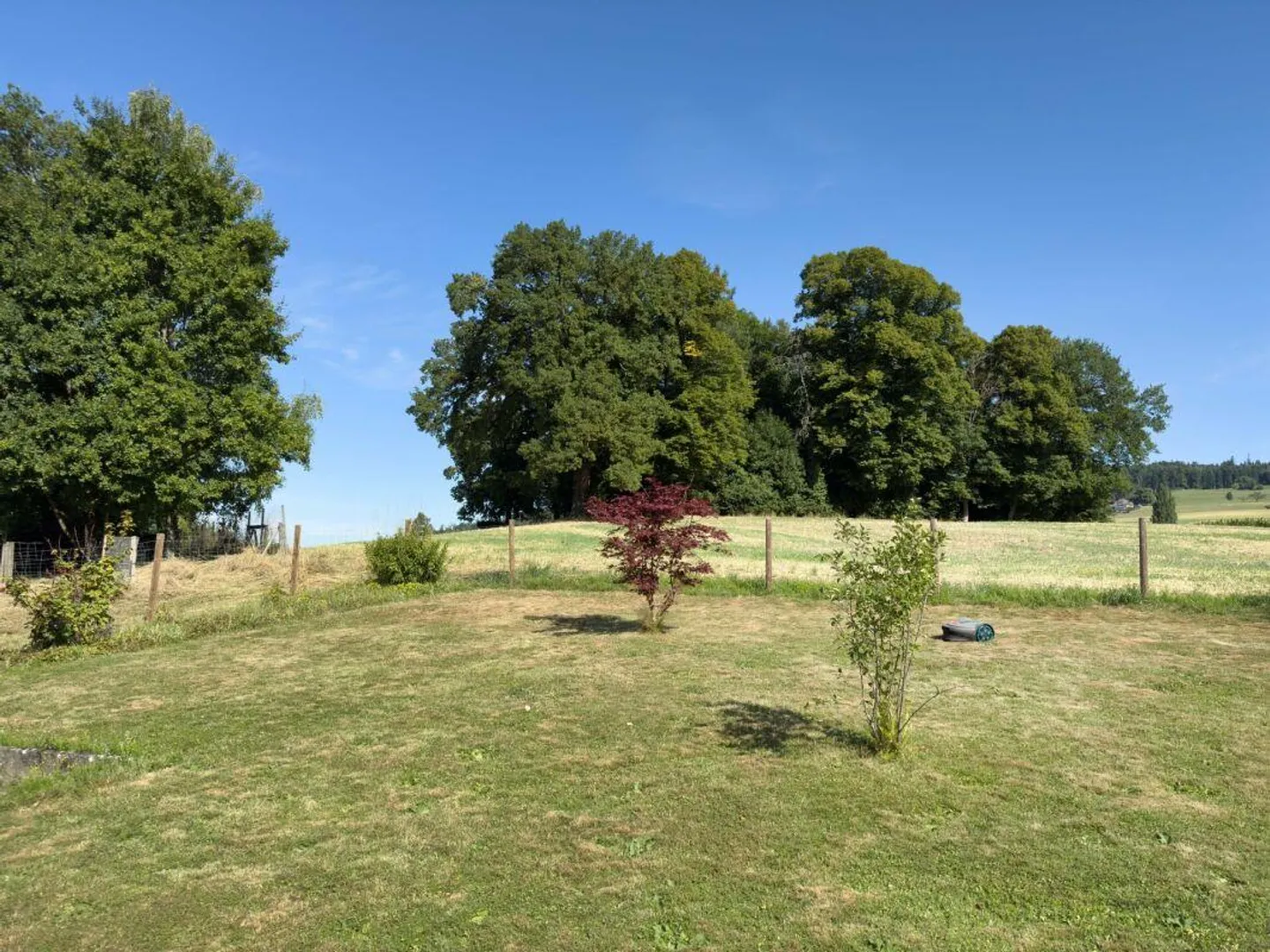 Spacious 6.5-room single-family house with beautiful garden in a privileged location - Photo 25 of 28