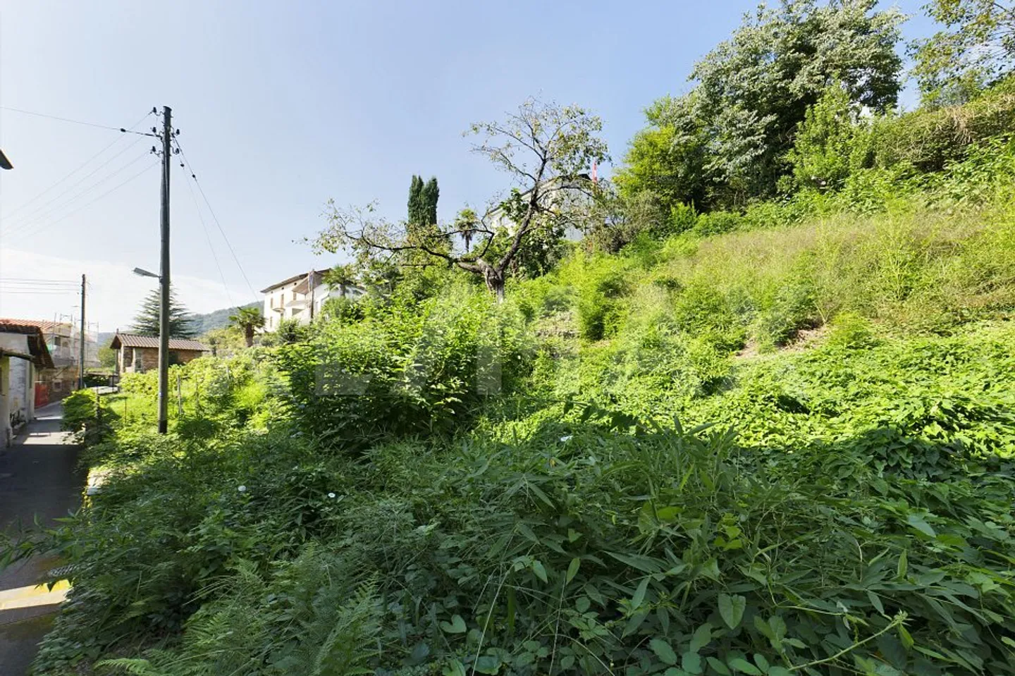 Terreno edificabile ideale per chi cerca tranquillità - Foto 3 di 5