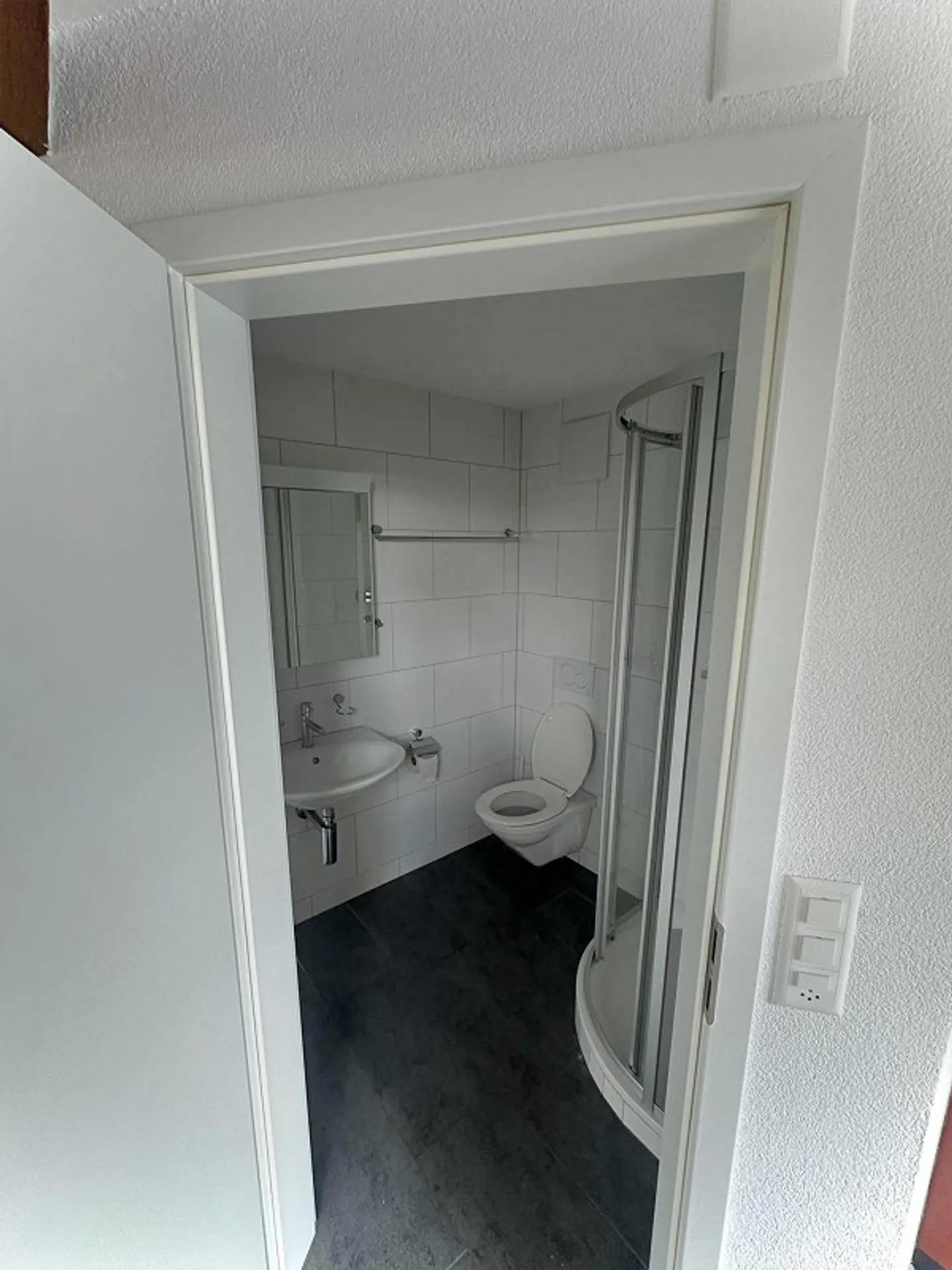Loft apartment 3.5 rooms with large balcony - Photo 4 of 10