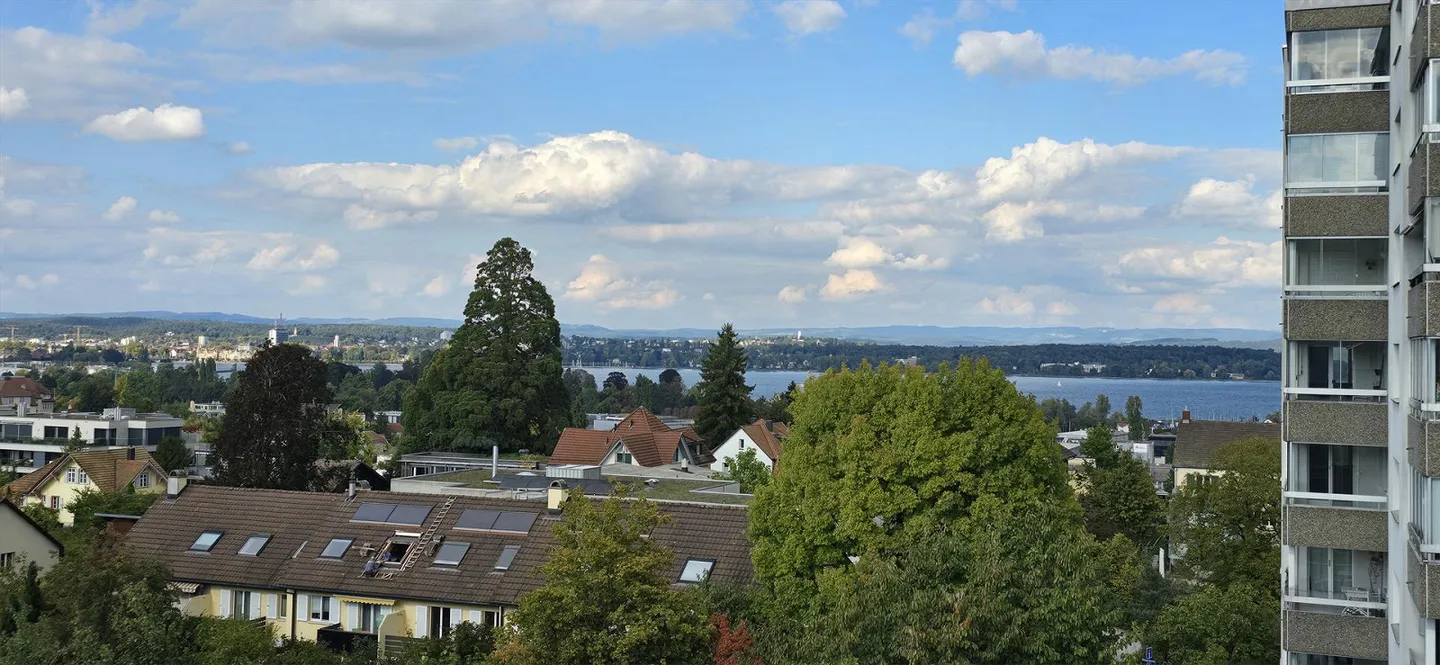 Cercasi nuovo inquilino per un appartamento di 5,5 stanze con vista lago - Foto 1 di 13