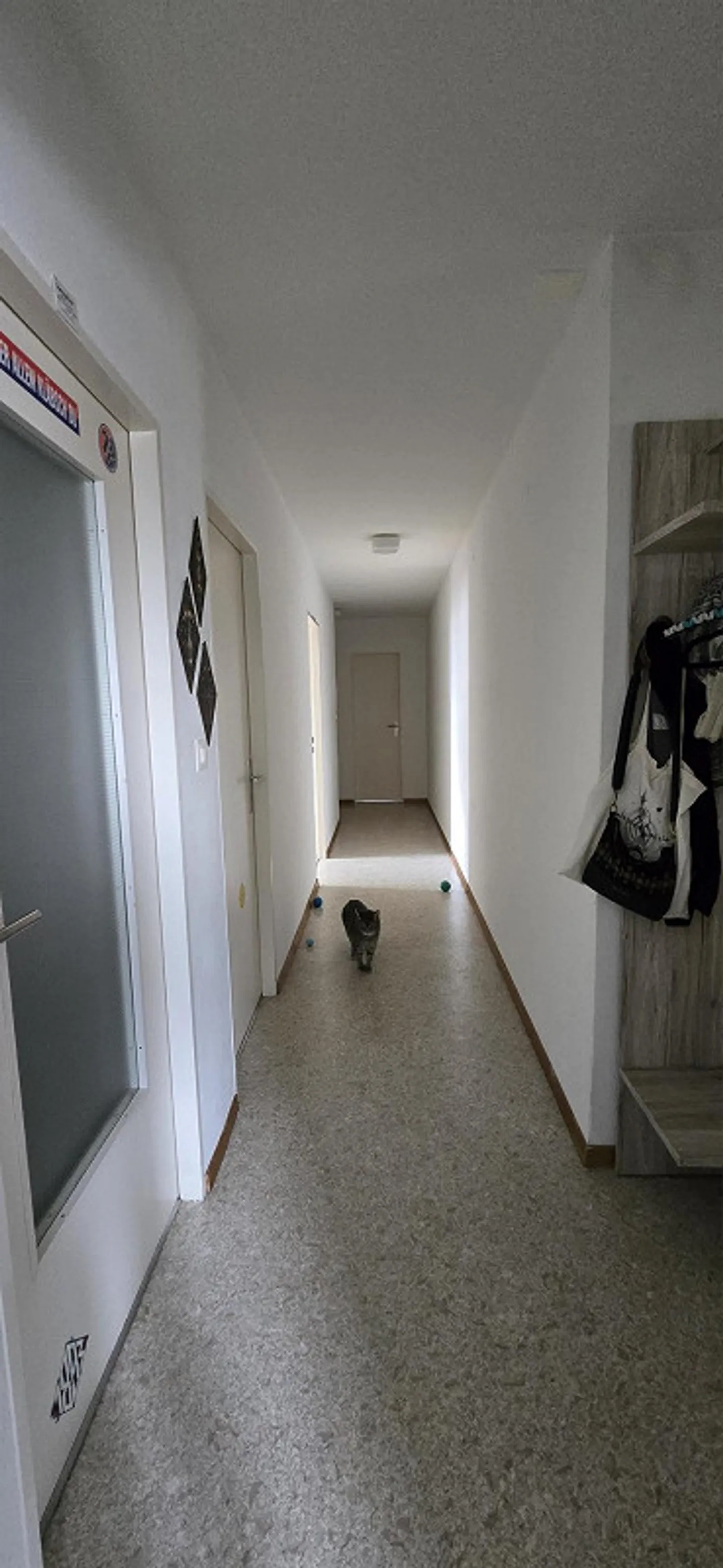Cercasi nuovo inquilino per un appartamento di 5,5 stanze con vista lago - Foto 7 di 13