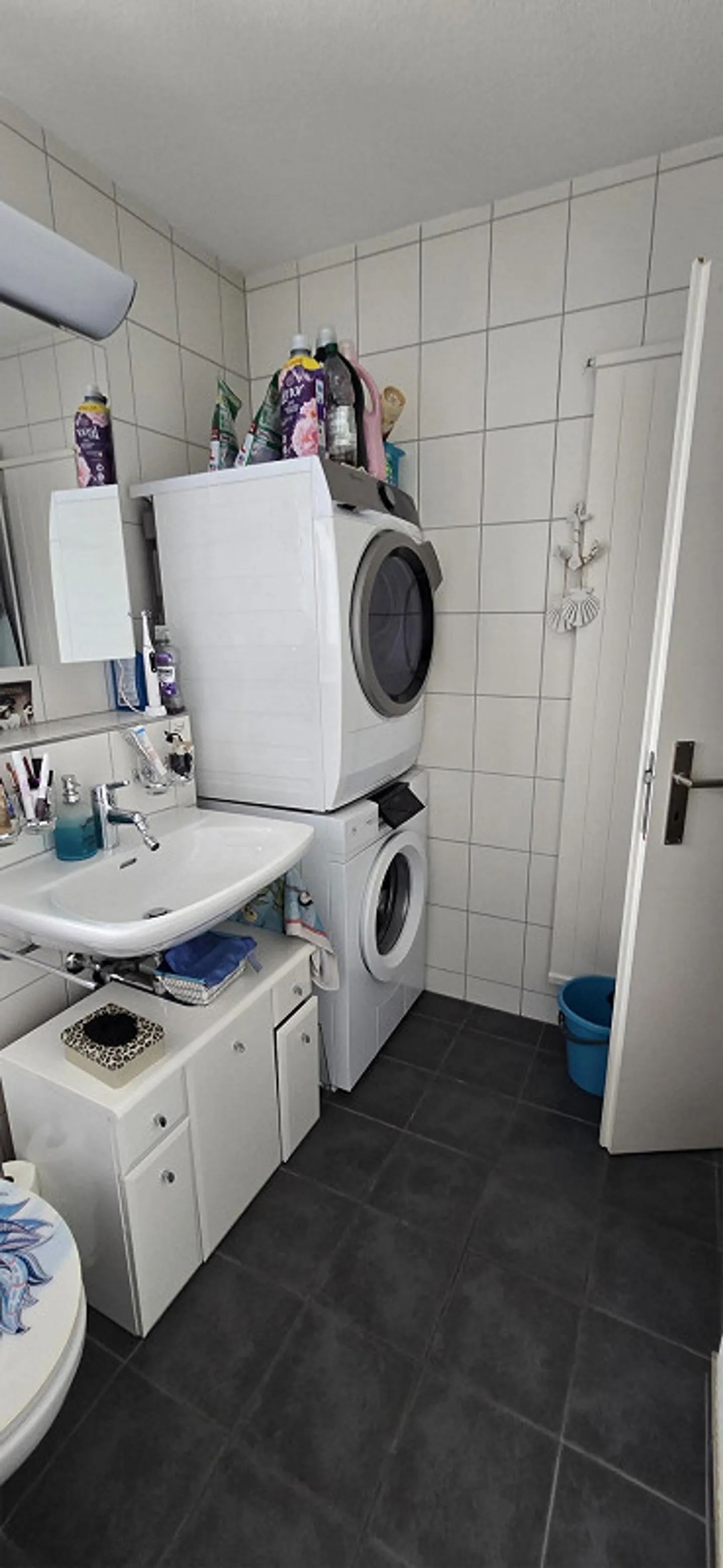 Cercasi nuovo inquilino per un appartamento di 5,5 stanze con vista lago - Foto 9 di 13