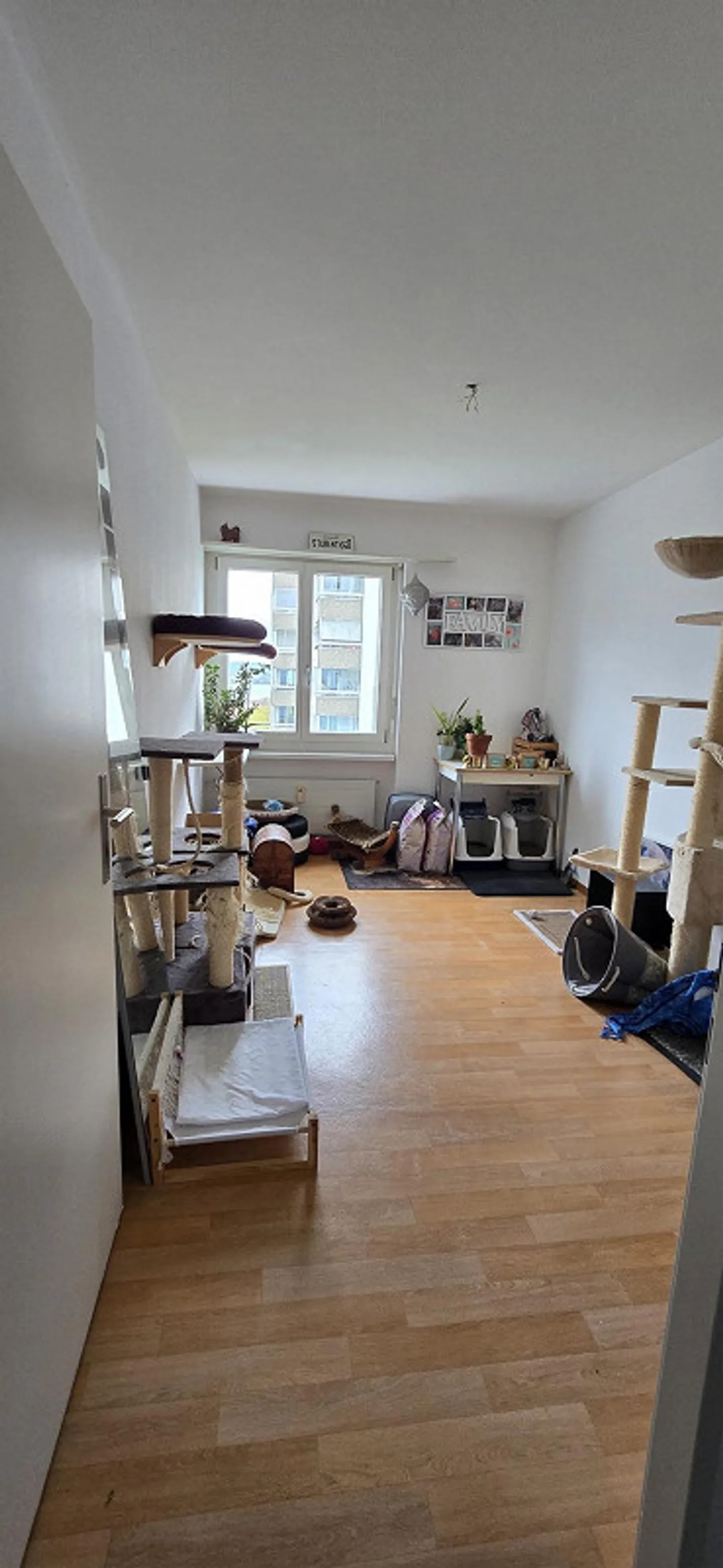 Cercasi nuovo inquilino per un appartamento di 5,5 stanze con vista lago - Foto 10 di 13