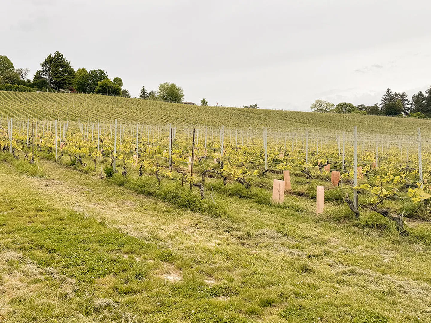 7-Zimmer-Haus - Foto 1 von 3