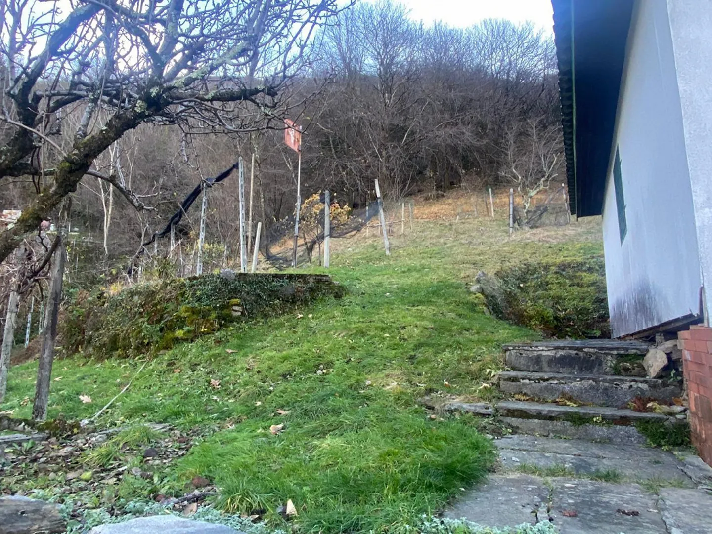 casa di 3 1/2 locali con grande terreno e bella vista - Foto 20 di 22