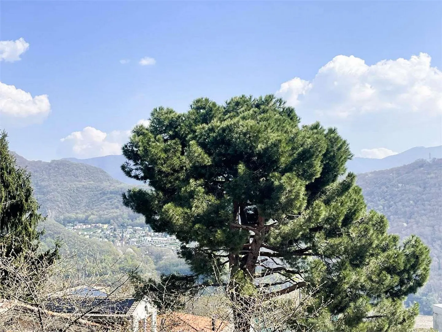 Appartamento in affitto - Foto 5 di 13