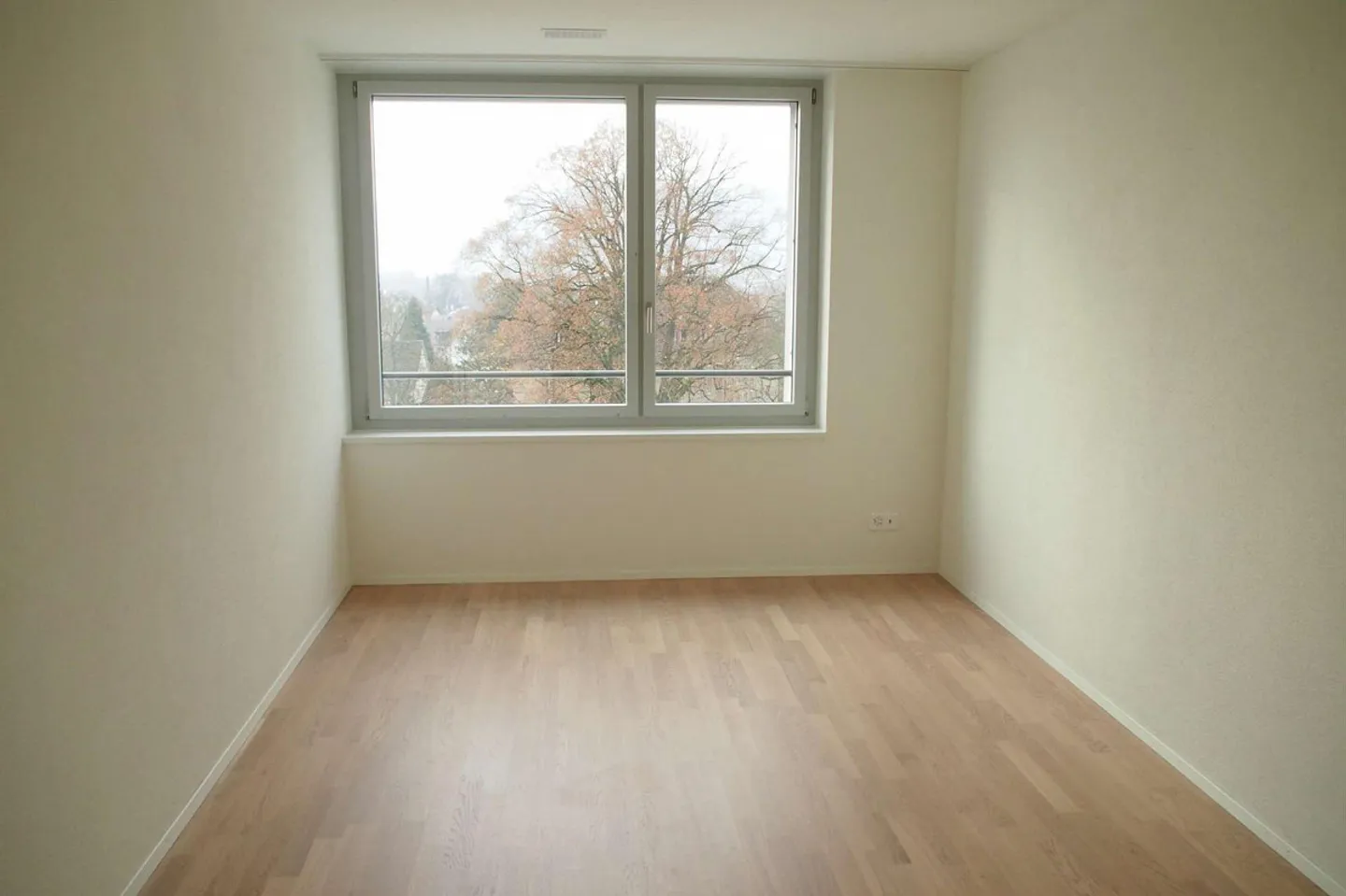 La tua ricerca finisce qui! - Foto 7 di 8