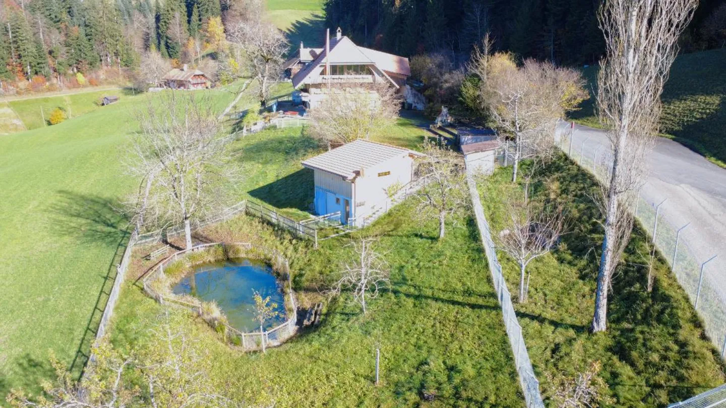 Paradis dans l'Emmental - Photo 2 sur 10