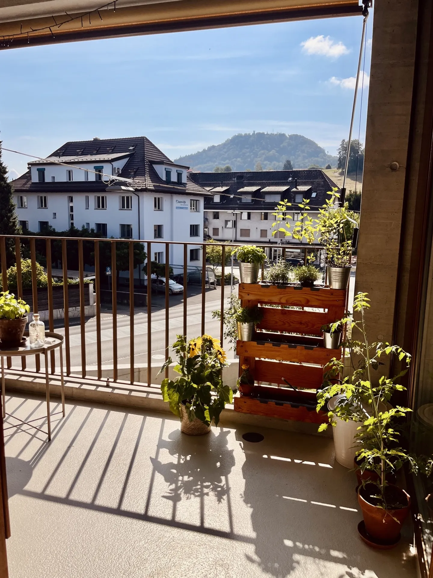 APPARTAMENTO 3½ LOCALI A KÖNIZ (BE), ARREDATO, TEMPORANEO - Foto 9 di 10