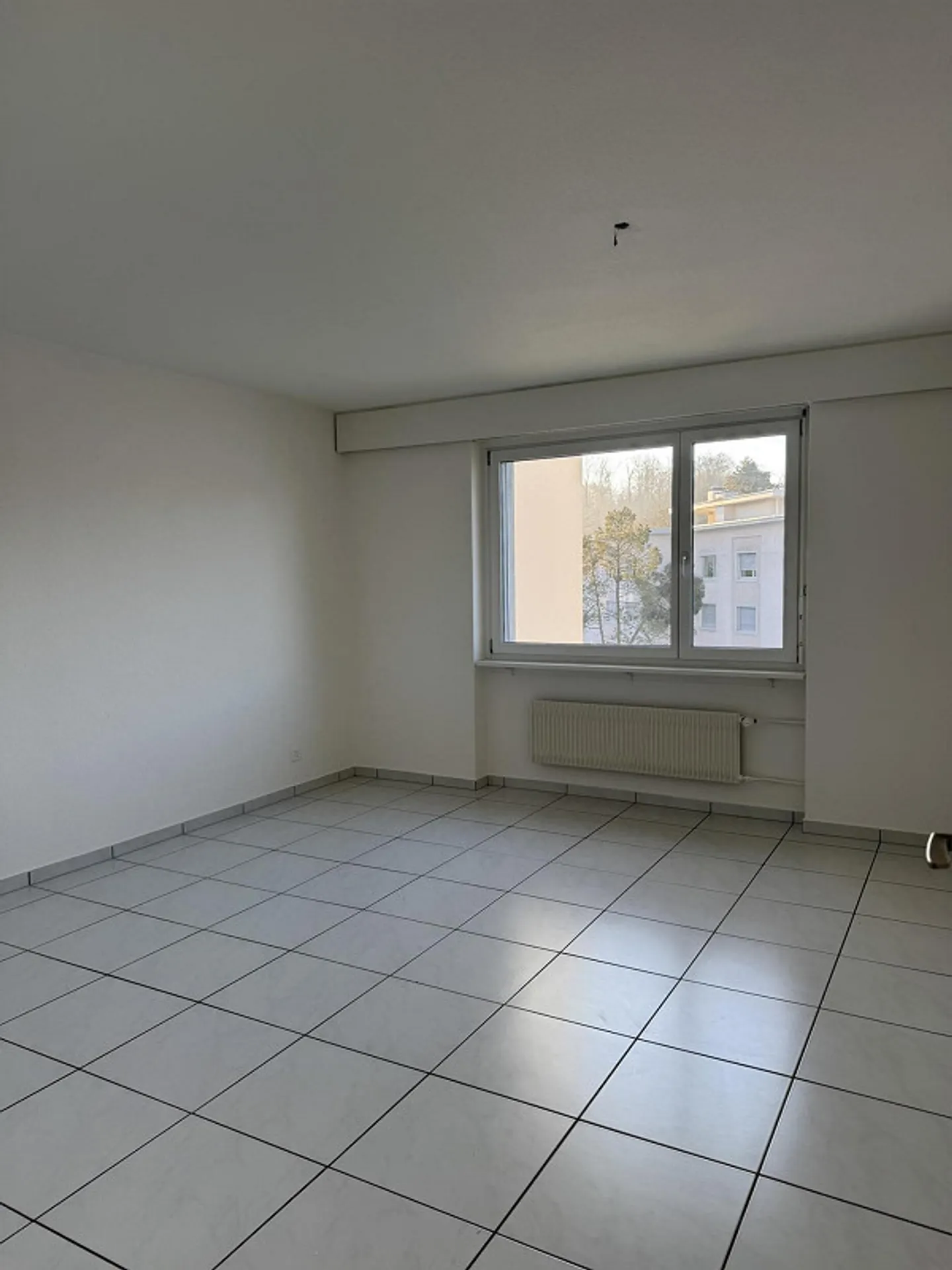 5.5 Room Apartment in Muri near Bern - Photo 6 of 9