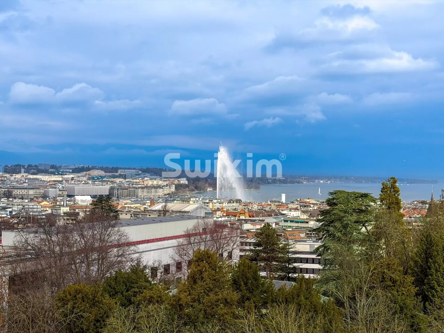 Ampio Appartamento di Lusso a Ginevra - Foto 1 di 1