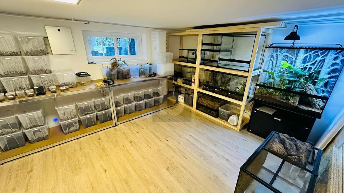 Posizione da sogno con flessibilità di design - Foto 2 di 6