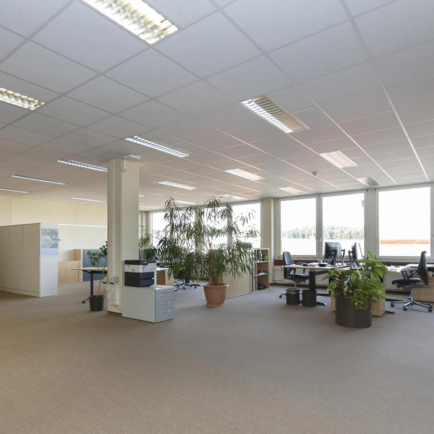Office Commercial Space between 100 to 1,000 m2 - Photo 7 of 7
