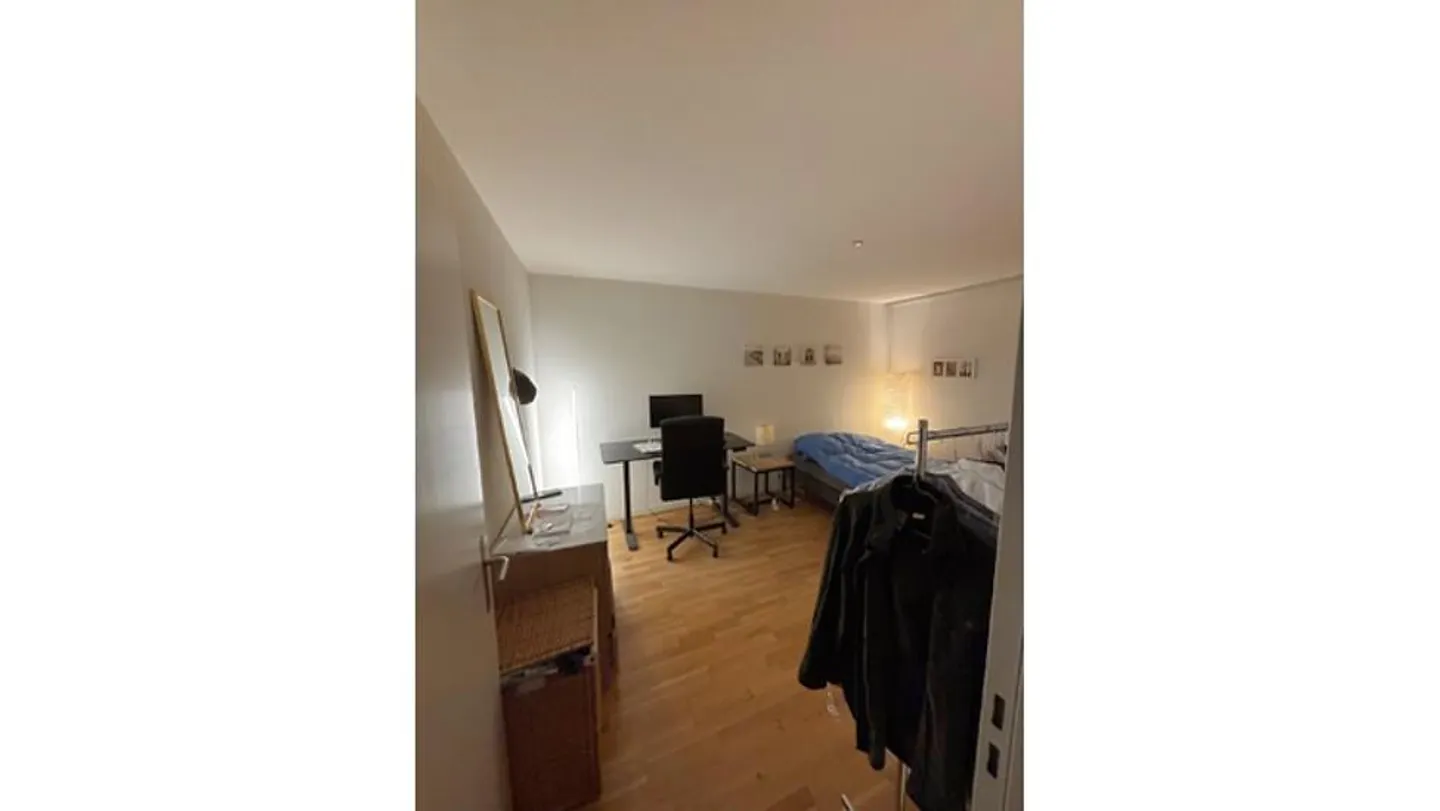 2½ ROOM APARTMENT IN LIEBEFELD (BE), FURNISHED, TEMPORARY - Photo 3 of 7