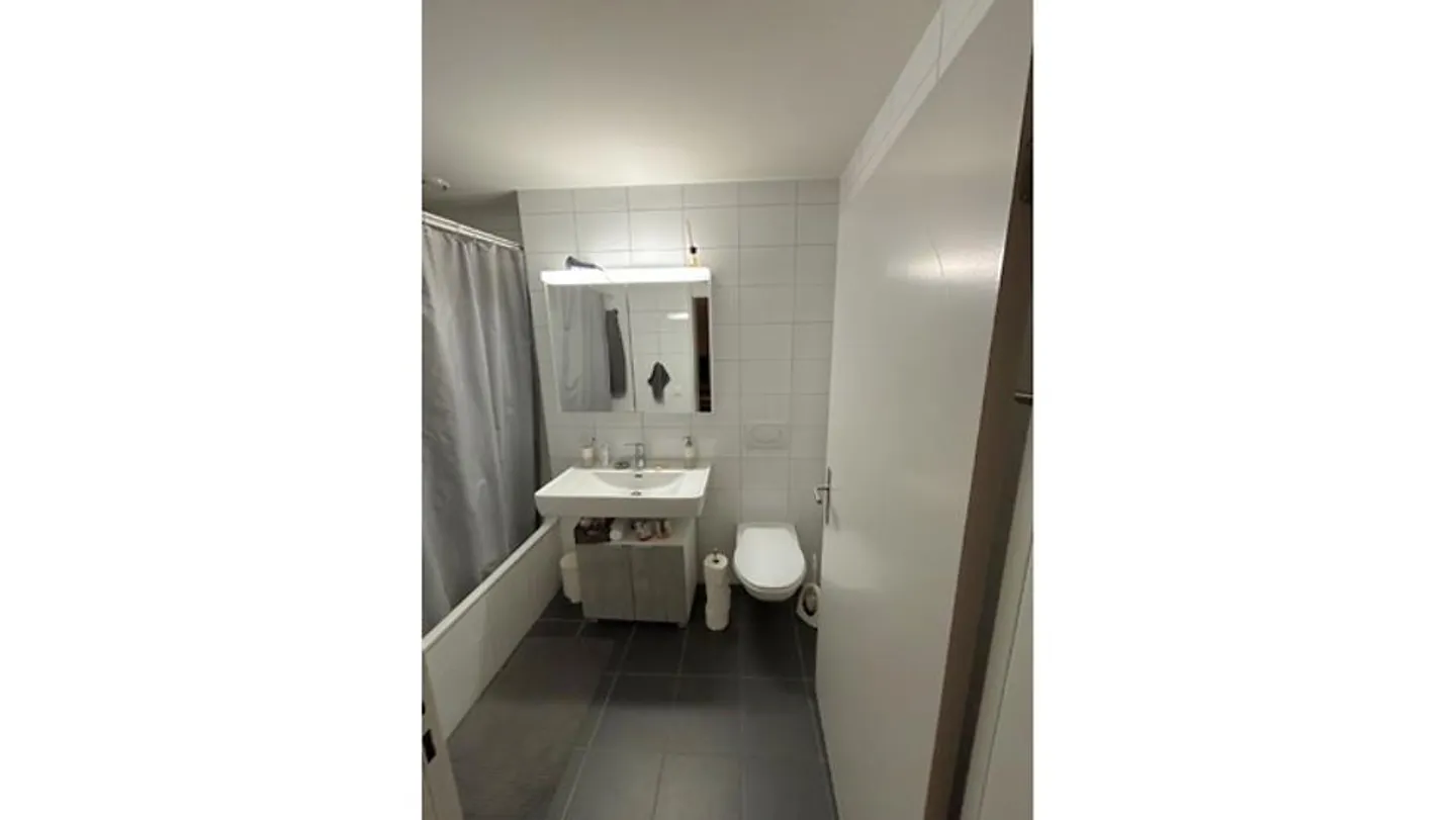 2½ ROOM APARTMENT IN LIEBEFELD (BE), FURNISHED, TEMPORARY - Photo 5 of 7