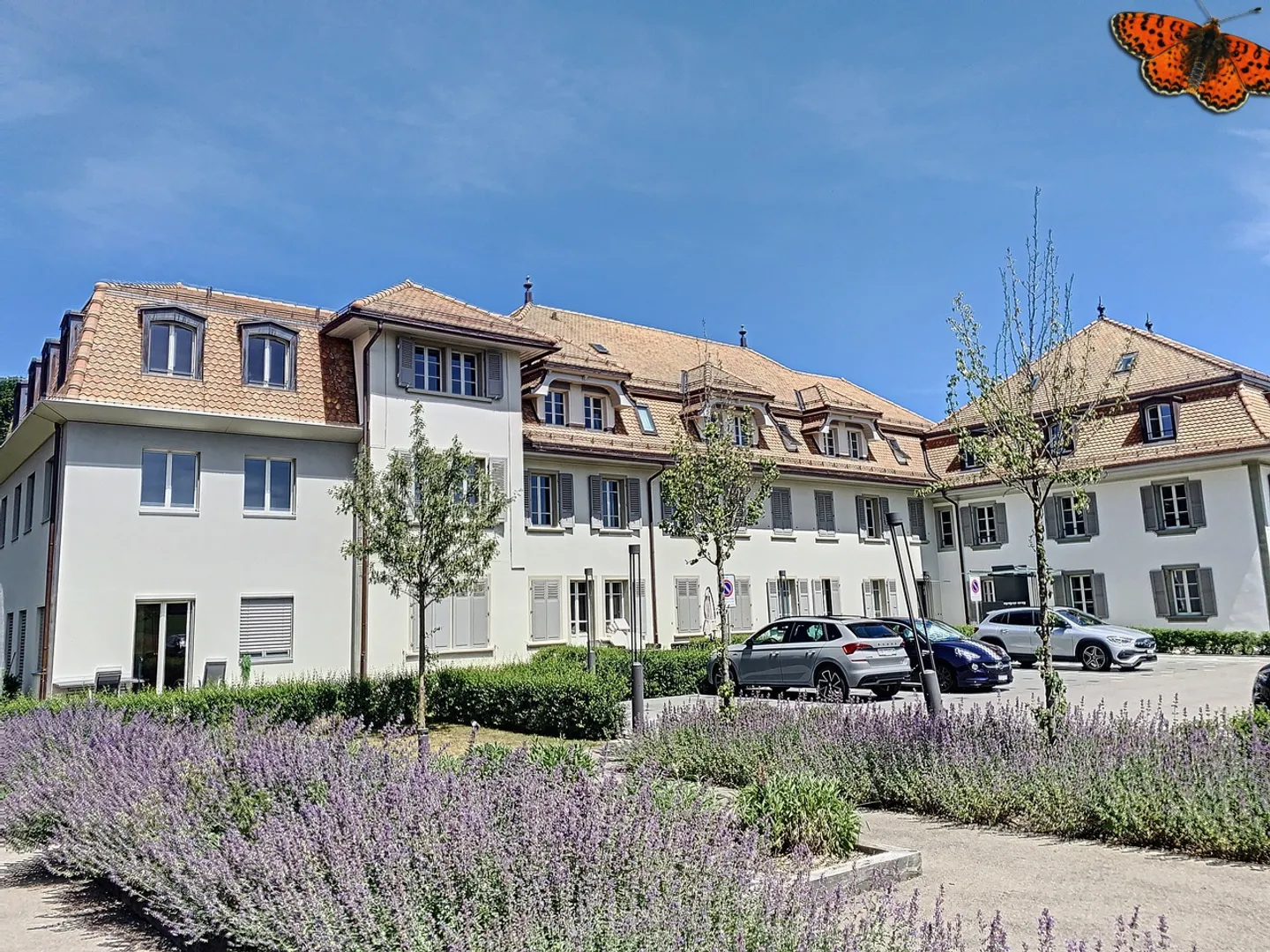 «11/2 ZIMMER – Mit Terrasse!» - Foto 5 von 13