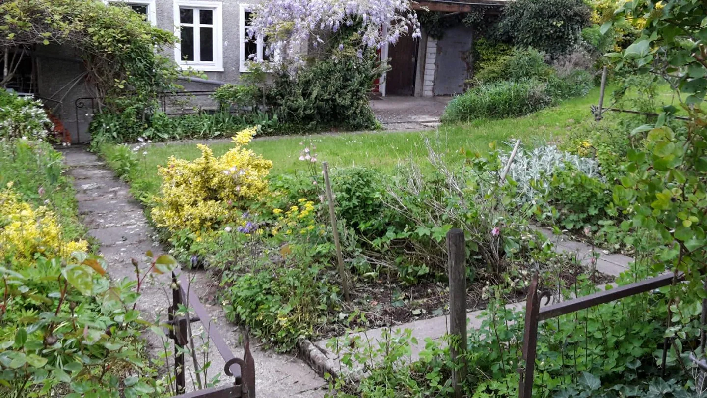 Charmante Wohnung mit Garten - Foto 2 von 17