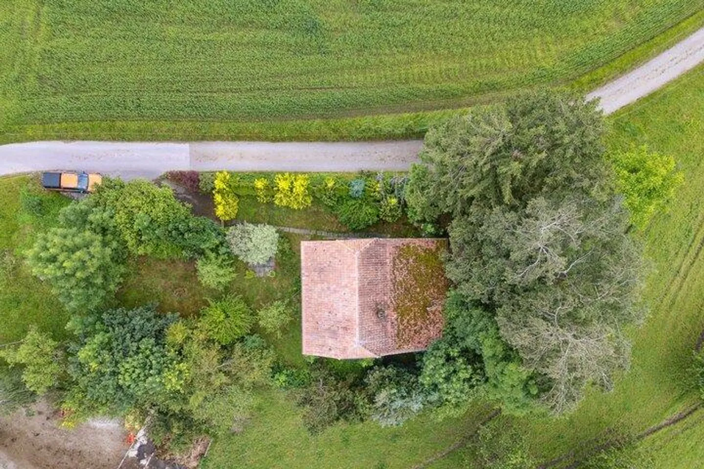 SAGENUMWOBENES STÖCKLI VON 1780 - Photo 6 of 7