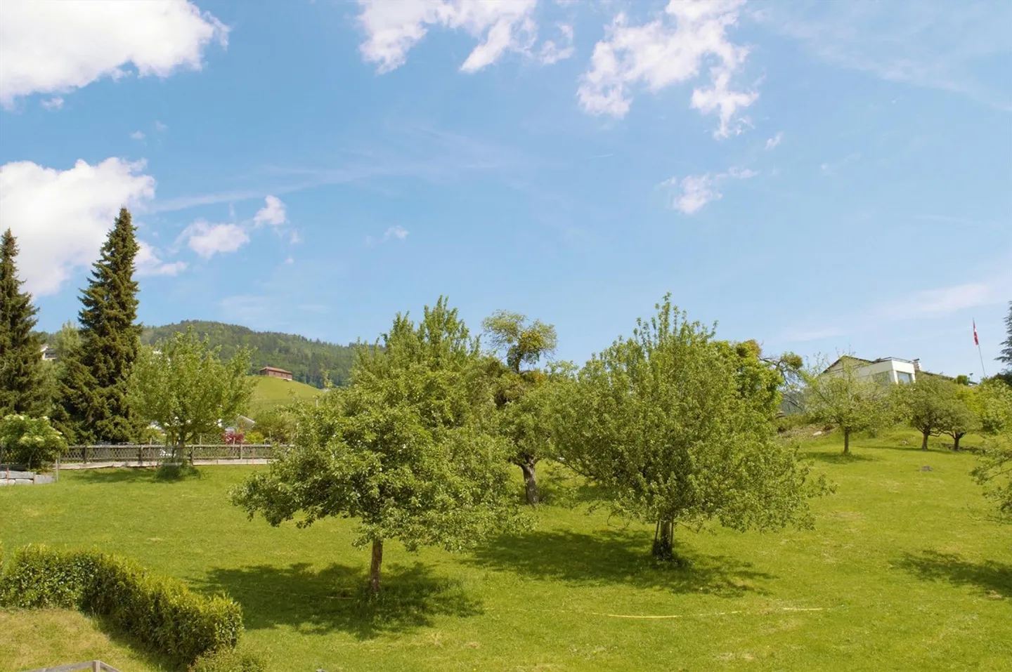 Appartamento luminoso e moderno di 4,5 al piano terra - Foto 12 di 12