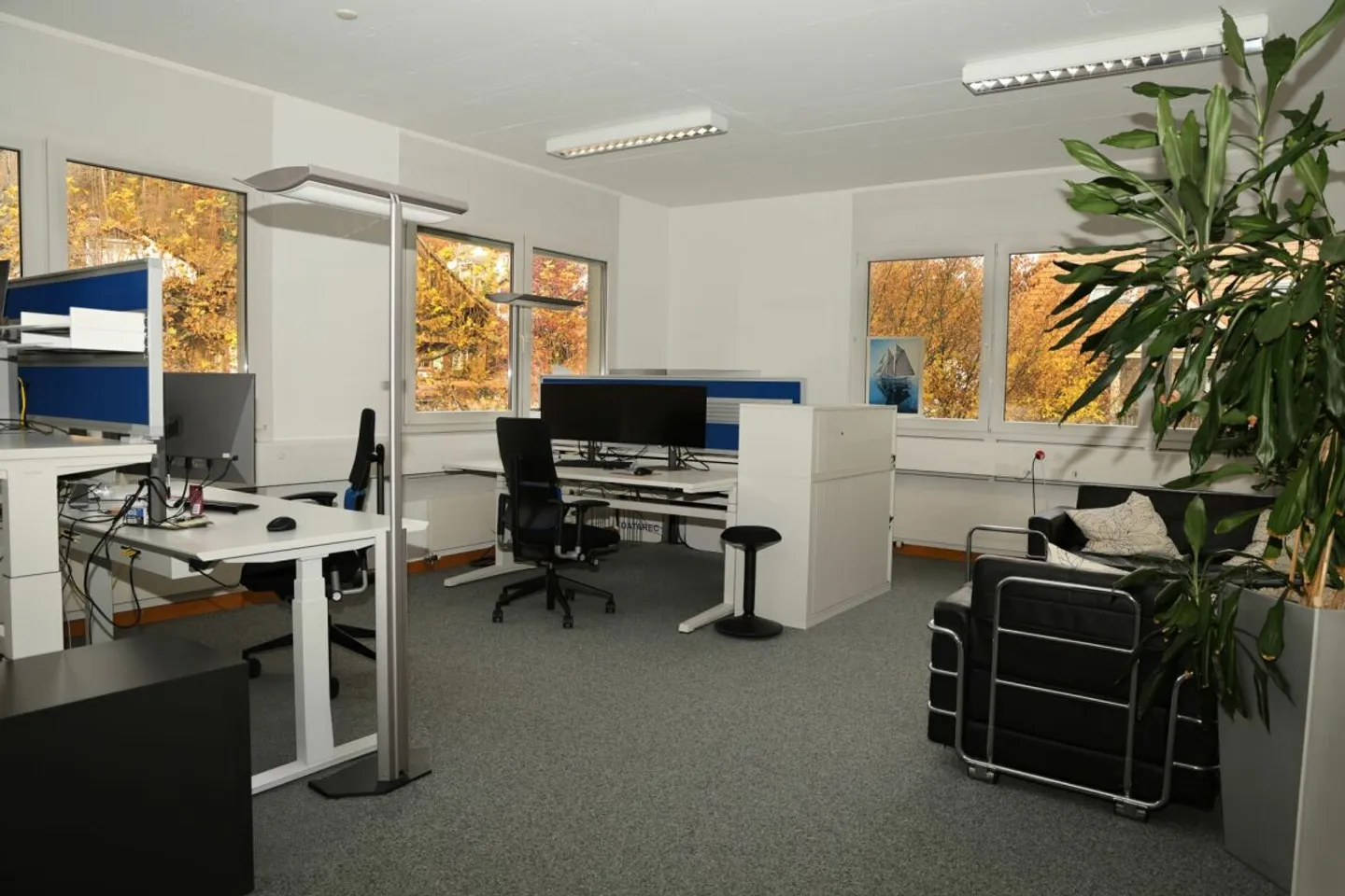 Commercial property in Oberwangen - Photo 6 of 10