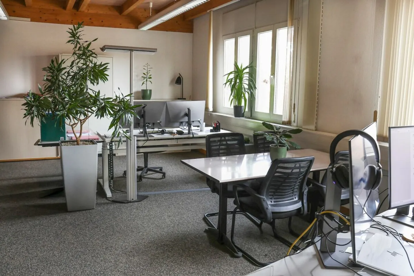 Commercial property in Oberwangen - Photo 4 of 10